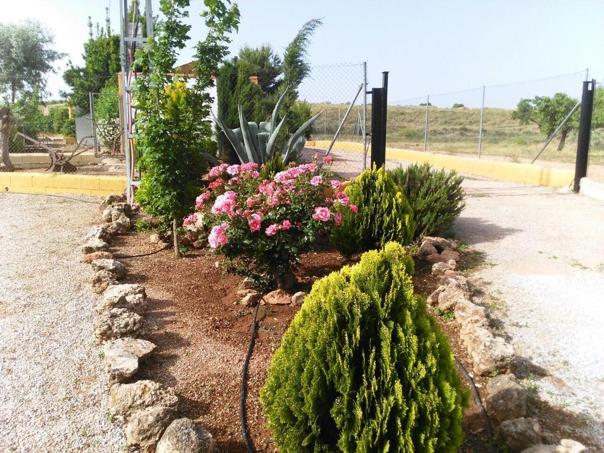 Alojamientos Rurales La Loma Pozo Alcón Exterior foto